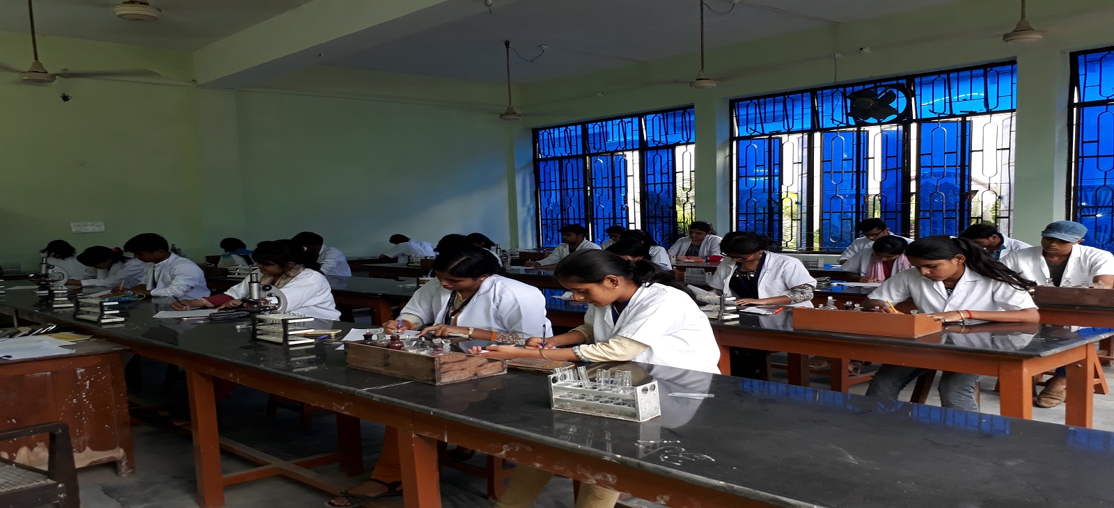 Department Activity 2